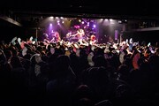 己龍のライブの様子。