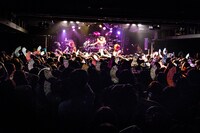 己龍のライブの様子。