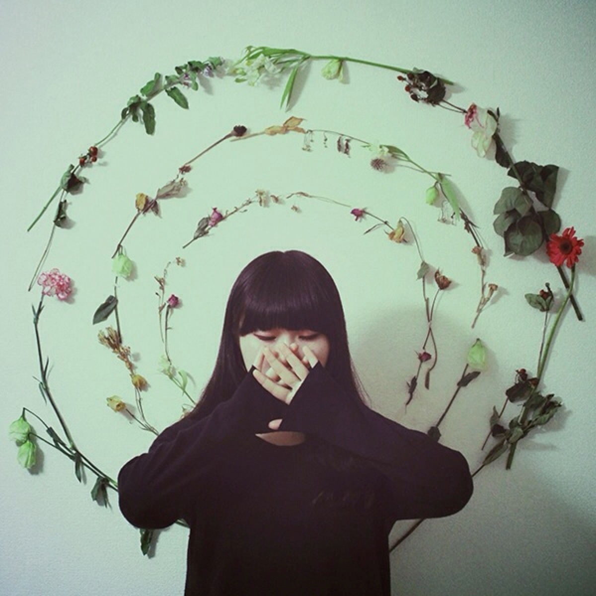 日向文