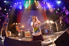 髭 （撮影：古溪一道）