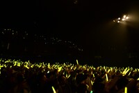 菜の花色に染まったフロア。