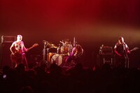 COKEHEAD HIPSTERS（撮影：三吉ツカサ[Showcase]）