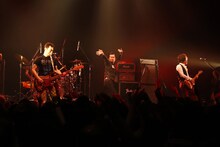 怒髪天（撮影：三吉ツカサ[Showcase]）