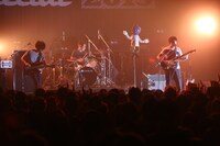 SAKANAMONのライブの様子。