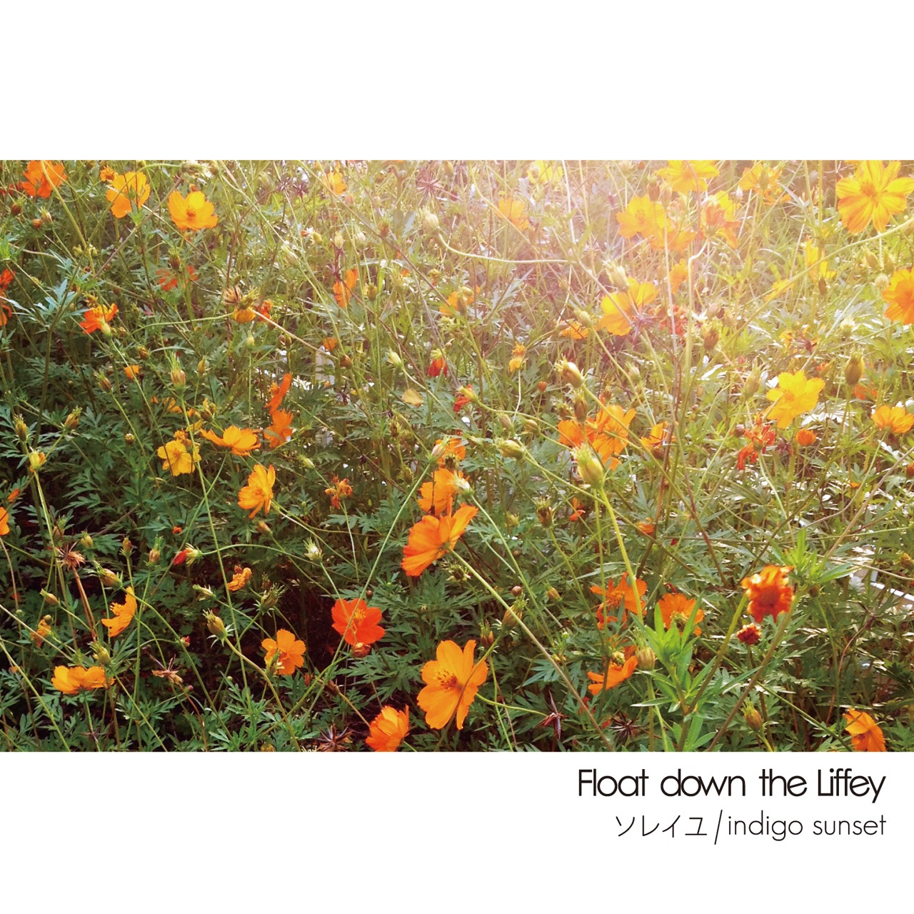 Float down the Liffey「ソレイユ / indigo sunset」ジャケット