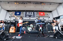 キュウソネコカミ（撮影：河上良）