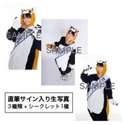 あらいぐんまちゃん。ぬいぐるみ購入者特典生写真のサンプル。