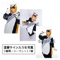 あらいぐんまちゃん。ぬいぐるみ購入者特典生写真のサンプル。