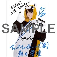 あらいぐんまちゃん。ぬいぐるみ購入者特典生写真のサンプル。