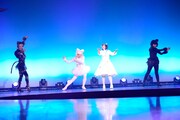 「悠木碧 Concert 2015 プルミエ!」の様子。