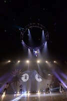 「I Can Fly!」でフライングする悠木碧。