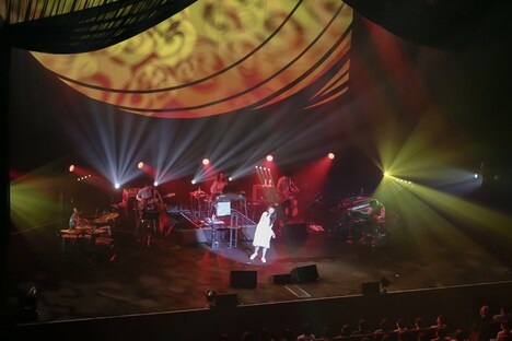 安藤裕子「安藤裕子 LIVE 2015 『あなたが寝てる間に』」東京・中野サンプラザホール公演の様子。（撮影：藤井拓）