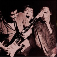 ローザ・ルクセンブルグ