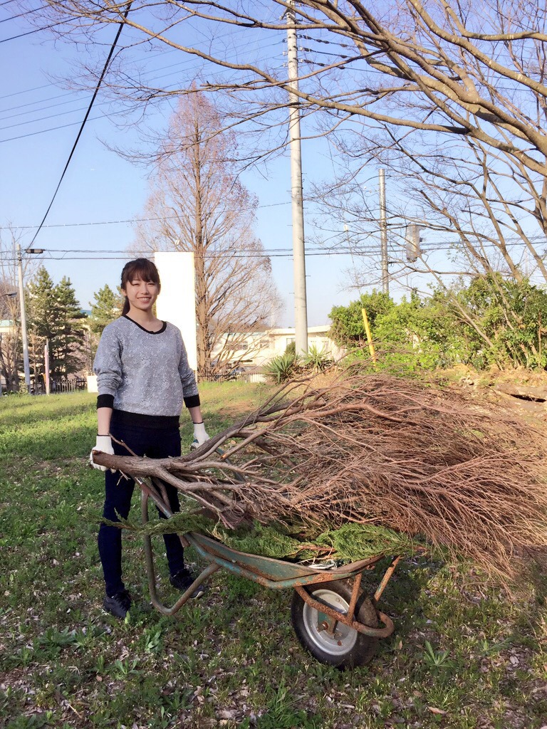 一輪車で枯れ枝を運ぶSAWA。
