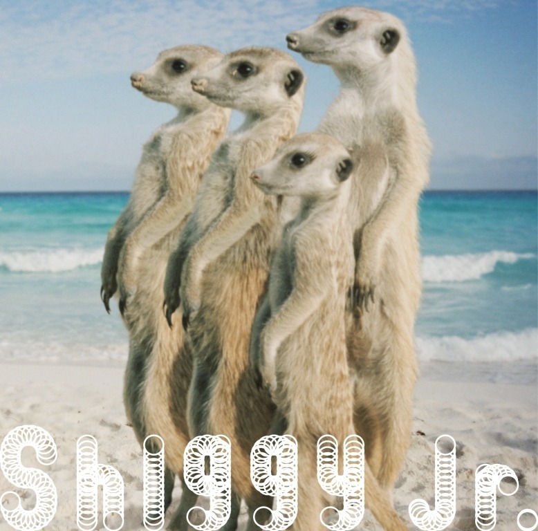 Shiggy Jr.「サマータイムラブ」初回限定盤ジャケット