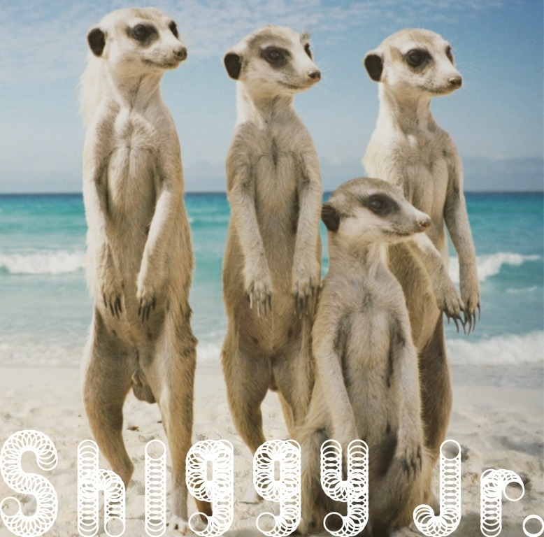 Shiggy Jr.「サマータイムラブ」通常盤ジャケット