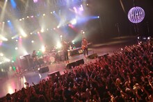 「OKAMOTO'S LIVE 2015 CDVDC」東京・EX THEATER ROPPONGI公演の様子。