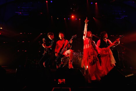ViViD「ViViD LIVE TOUR 2015 THE BEGINNING of THE END FINAL『CROSSING OF THE DREAM』」（Photo by Yoji Kawada）