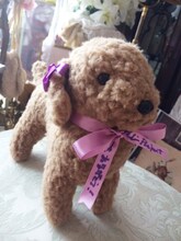 ALI PROJECT「月光ソワレVIII～Violetta Operetta～」初回プレス特典のプレゼント「サインリボン付き“パンジー子犬ぬいぐるみぃ”」。