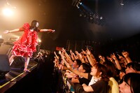 SEBASTIAN Xツアー2015「こころ」赤坂BLITZ公演の様子。（撮影：木村泰之）