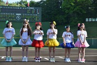 野球ファンに自己紹介する乙女新党。