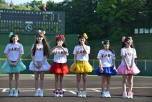 野球ファンに自己紹介する乙女新党。