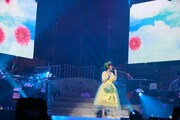 「花澤香菜 live 2015 "Blue Avenue"」東京・日本武道館公演の様子。