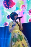 「花澤香菜 live 2015 "Blue Avenue"」東京・日本武道館公演の様子。