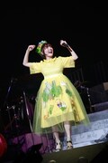 「花澤香菜 live 2015 "Blue Avenue"」東京・日本武道館公演の様子。