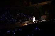 「花澤香菜 live 2015 "Blue Avenue"」東京・日本武道館公演の様子。