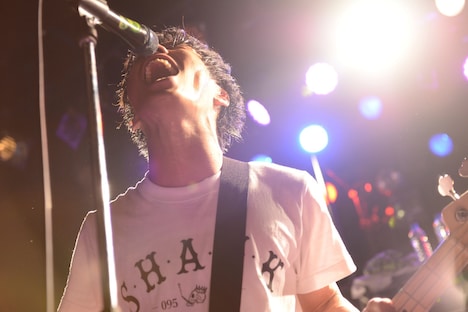 庵原将平（Vo, B）（撮影：半田安政[showcase]）