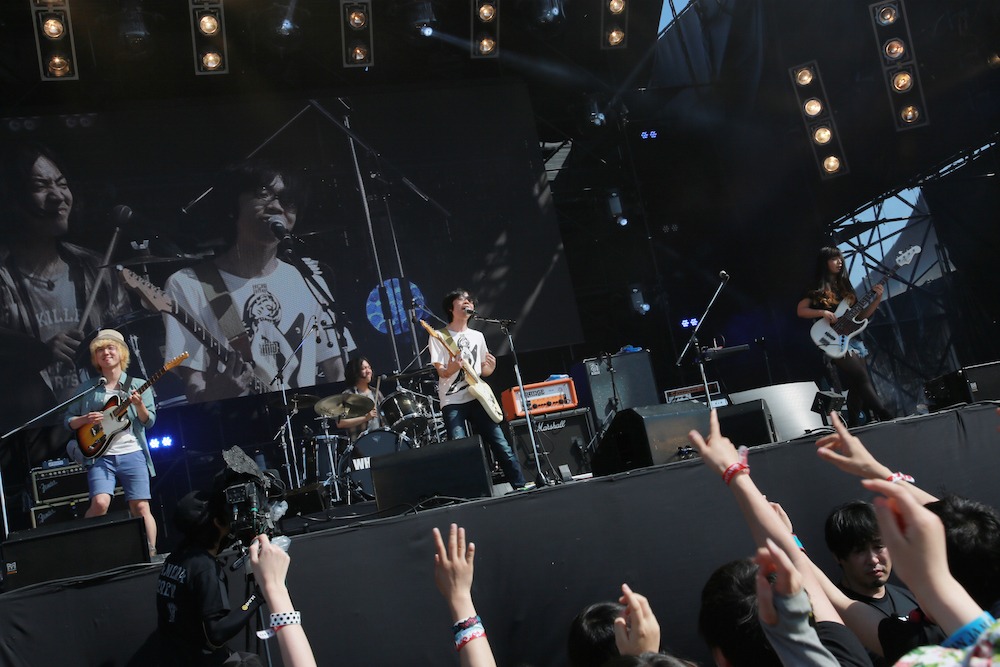 WHITE ASH