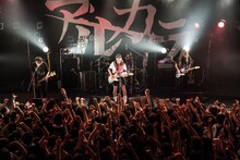 アルカラのライブの様子。（Photo by AZUMA Tatsuya）