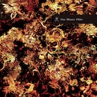 「1分の音楽」ルールのコンピにweg、デデマウス、あら恋ら46組参加