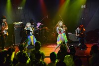 おやすみホログラムによるライブの様子。