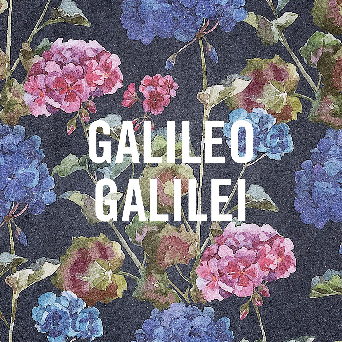 Galileo Galilei「嵐のあとで」通常盤ジャケット