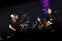 GLIM SPANKY「『褒めろよ』リリースツアーファイナルワンマン“Velvet Theater in 東京キネマ倶楽部”」の様子。（撮影：大畑陽子）