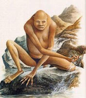 クリトリック・リス