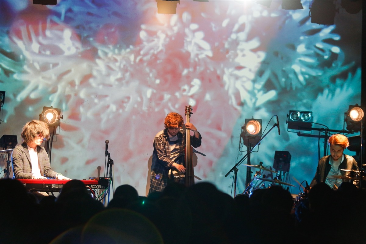 「fox capture plan UNDERGROUND tour」UNIT公演の様子。 （撮影：関口佳代）