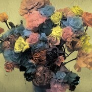 サニーデイ・サービス「Birth of a Kiss」ボックスセットジャケット