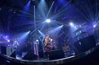 「武道館 DE DISCO!!! ～SUPER DISCO Hits 10!!! the telephones 10th Anniversary～」の様子。（Photo by Kazumichi Kokei）