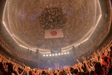 「武道館 DE DISCO!!! ～SUPER DISCO Hits 10!!! the telephones 10th Anniversary～」の様子。（Photo by Kazumichi Kokei）
