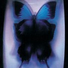 YEN TOWN BANDが今夏復活「伝説的な入れ物に新たな魂を」