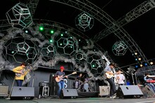 森は生きている（写真提供：CIRCLE）