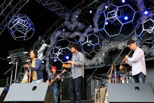 森は生きている（写真提供：CIRCLE）