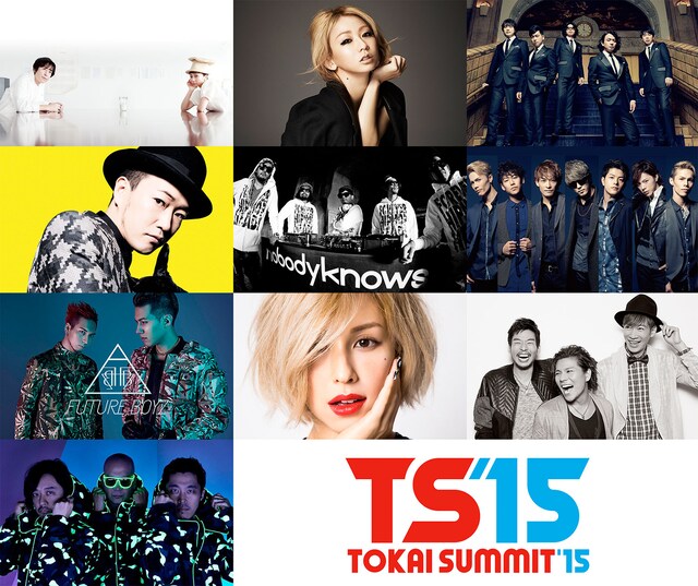 「TOKAI SUMMIT'15」出演アーティストとロゴ。