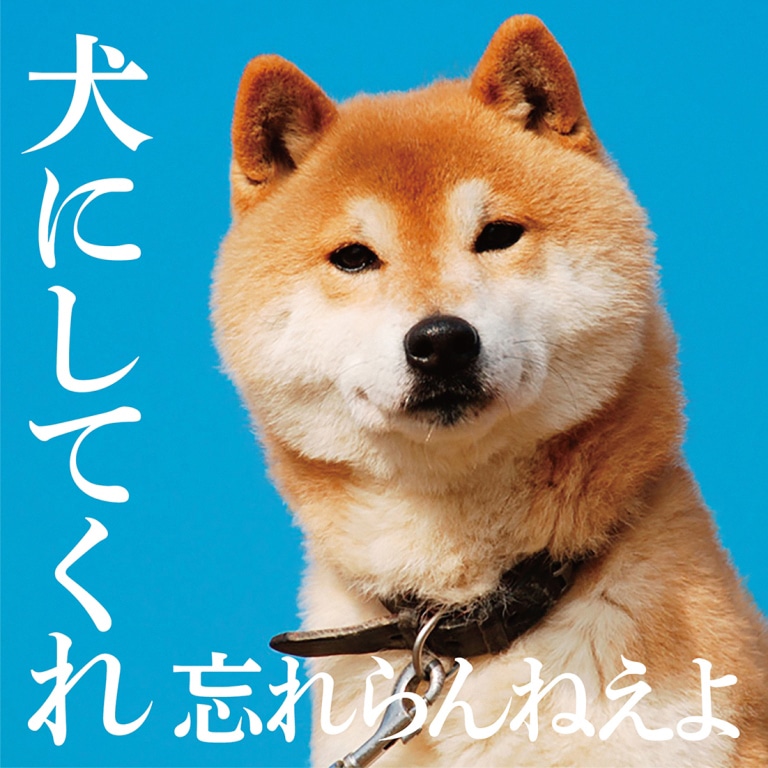 忘れらんねえよ「犬にしてくれ」ジャケット (c) 蔵之助