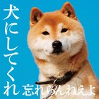 忘れらんねえよ、柴田がチョロチョロ動き回る新譜トレイラー