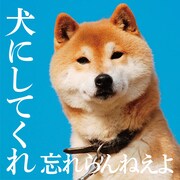 忘れらんねえよ「犬にしてくれ」ジャケット (c) 蔵之助