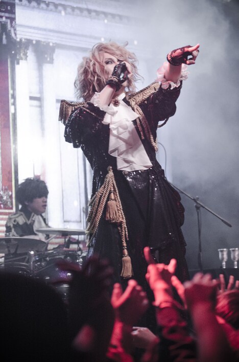「KAMIJO World Tour 2015 -20th ANNIVERSARY BEST-」メキシコ・メキシコシティ Sala公演の様子。 （提供：ワーナーミュージック・ジャパン）